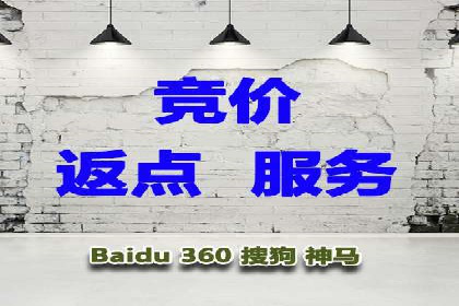 百度推广成功案例：打造行业领军品牌之路